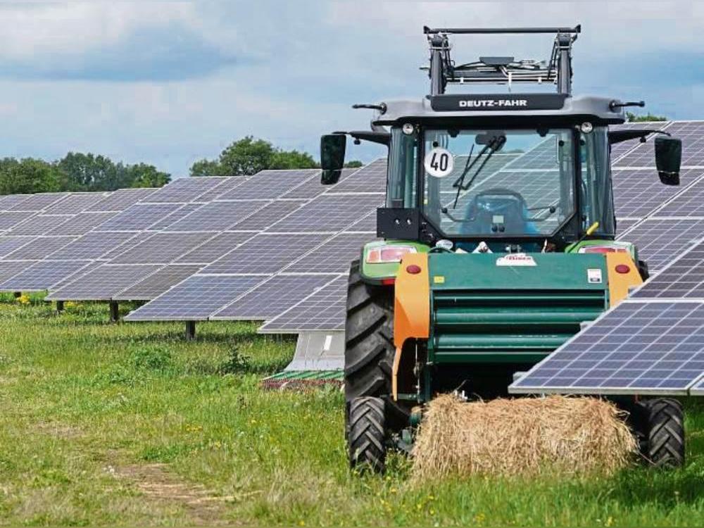 Die beantragte Agri-PV-Anlage bei Hoinkhausen könnte nun doch gebaut werden. Foto: dpa