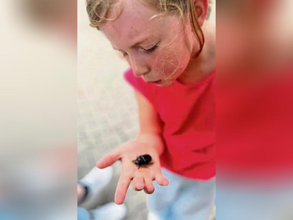 Glückskäfer?! Mia hält im Garten ihrer Urgroßcousine Gaby ihr Sommerglück in der Hand – einen Käfer, schreibt Gaby Wormstall.