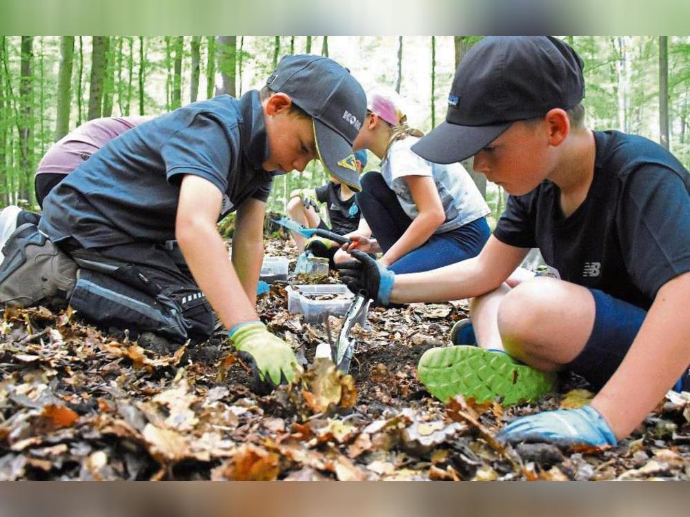 Nach Kleinstlebewesen buddelten die Kinder im Esper Wald. Fotos: Giannakis