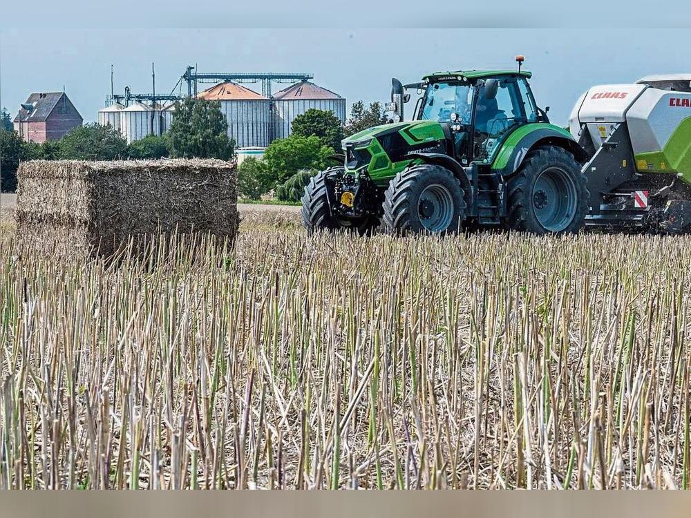 Der Bedarf an Stroh ist höher geworden. Dadurch wird zunehmend auch Rapsstroh zu Ballen gepresst. Foto: Dahm