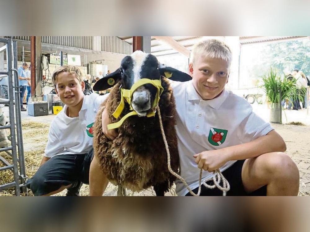 Für Leon Schäfer und seinen Bruder Joshua Stawicki heißt es Abschied nehmen von Maximus: Das Ostfriesische Milchschaf, eine bedrohte Tierart, wird wenig später versteigert. Der Verkauf ist nötig, damit die wenigen Exemplare sich inzuchtfrei vermehren können. Fotos: Bunte