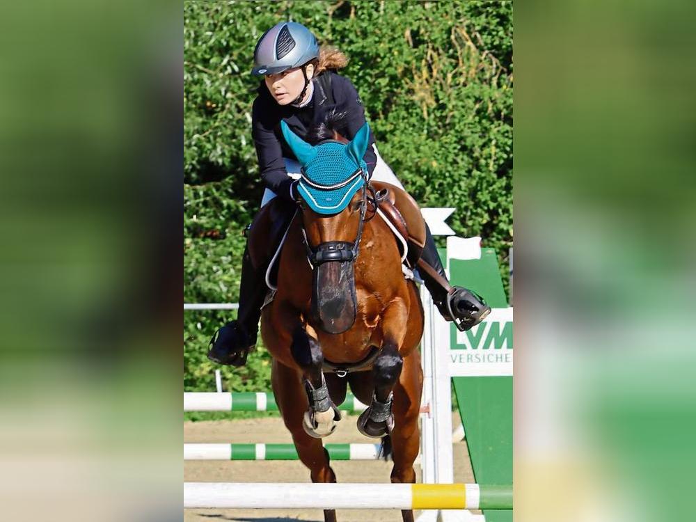 Mächtig ins Zeug legten sich die Springreiterinnen und Springreiter auch beim Hüser für Häuser Cup. In Geseke wurde das Finale ausgetragen. Foto: Uwe Feichtinger