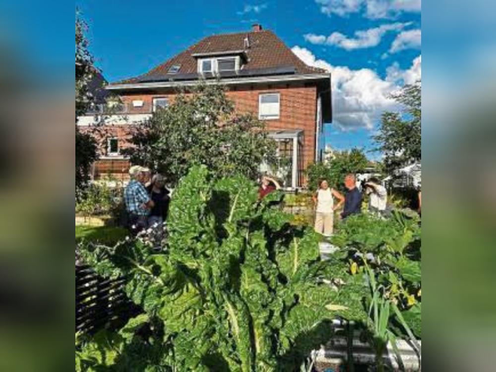Lippstädter Häuser können als Vorbilder für Klimaschutz dienen.
