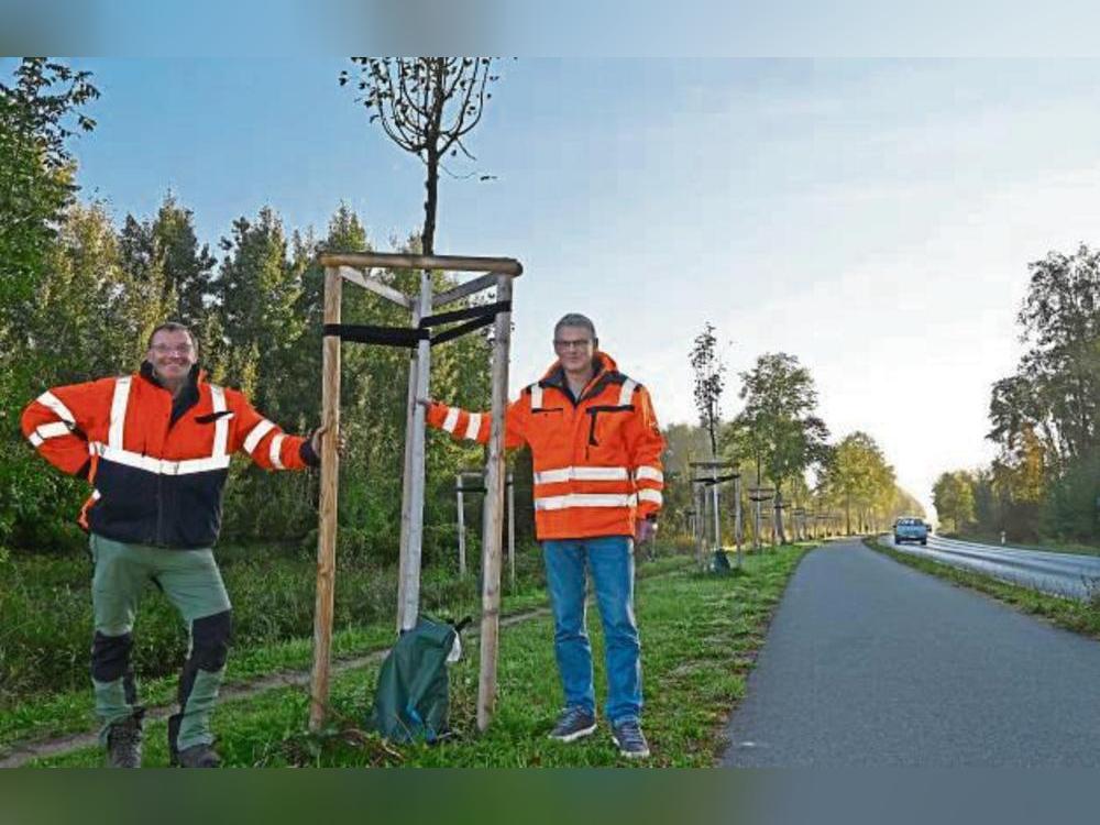 Freuen sich über die 200 jungen Winterlinden, die an der K 42 mithilfe von Fördergeldern des Landes gepflanzt worden sind: Baumkontrolleur Holger Meermann (l.) und Baubetriebshof-Leiter Bernd Dohle. Foto: Susanne Schulte-Nölle/ Kreis Soest