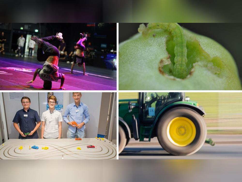 Vier Bilder, vier Kirmesattraktionen: Zur Herbstwoche verlosen wir 35 Bummelpässe. Wer gewinnen möchte, muss die harte Rätselnuss knacken und um die Ecke denken. Welche vier Herbstwochen-Attraktionen suchen wir? Symbolfotos: dpa