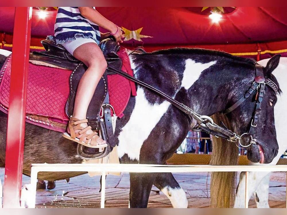 Beliebt und umstritten zugleich: Ponykarussells sind auf vielen Volksfesten noch gesetzt. Archivfoto: Peta