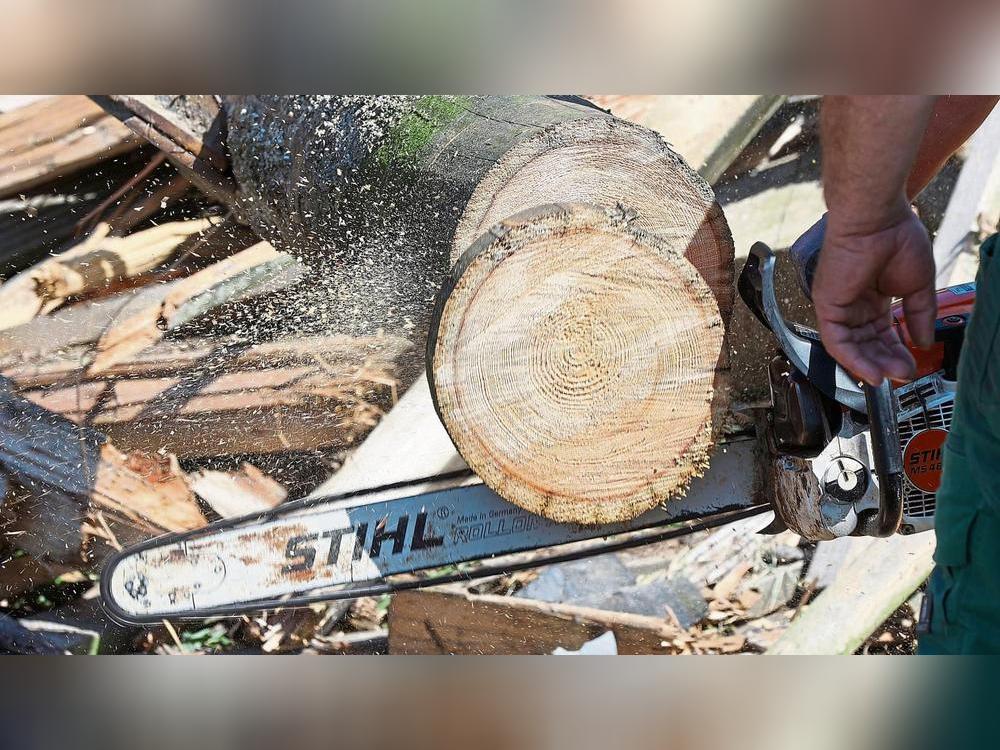 123 Kallenhardter sind Bürgerholzberechtigte und bekommen jährlich Holzlieferungen aus dem heimischen Wald. Foto: dpa
