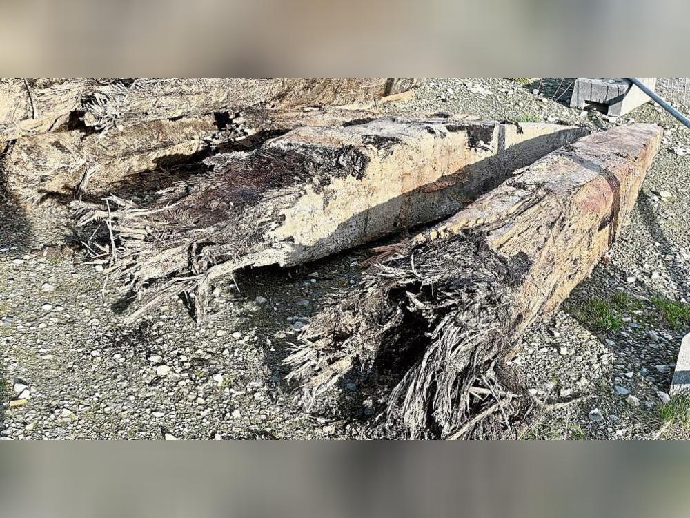Mehr als zwei Meter lang sind die alten Holzpflöcke, die nun an die die LWL-Archäologie übergeben werden. Foto: Stadt Rietberg