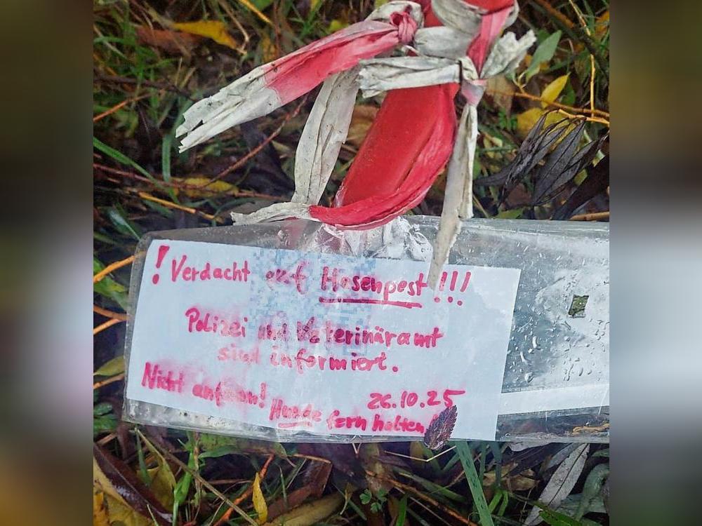 Hier hat ein Spaziergänger den Fund eines toten Feldhasen in Lippstadt direkt markiert – und umgehend das Kreis-Veterinäramt verständigt.