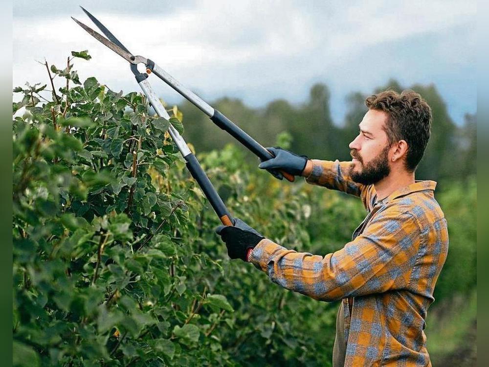 Der Garten ist ein Luxus unserer Tage. Er fordert das, was am kostbarsten geworden ist: Zeit, Raum und Zuwendung. Wer ihn nicht mehr selber pflegen kann, sollte bei der Wahl der Gartenhilfe Vorsicht walten lassen. Das Symbolfoto hat nichts mit dem beschriebenen Fall zu tun.