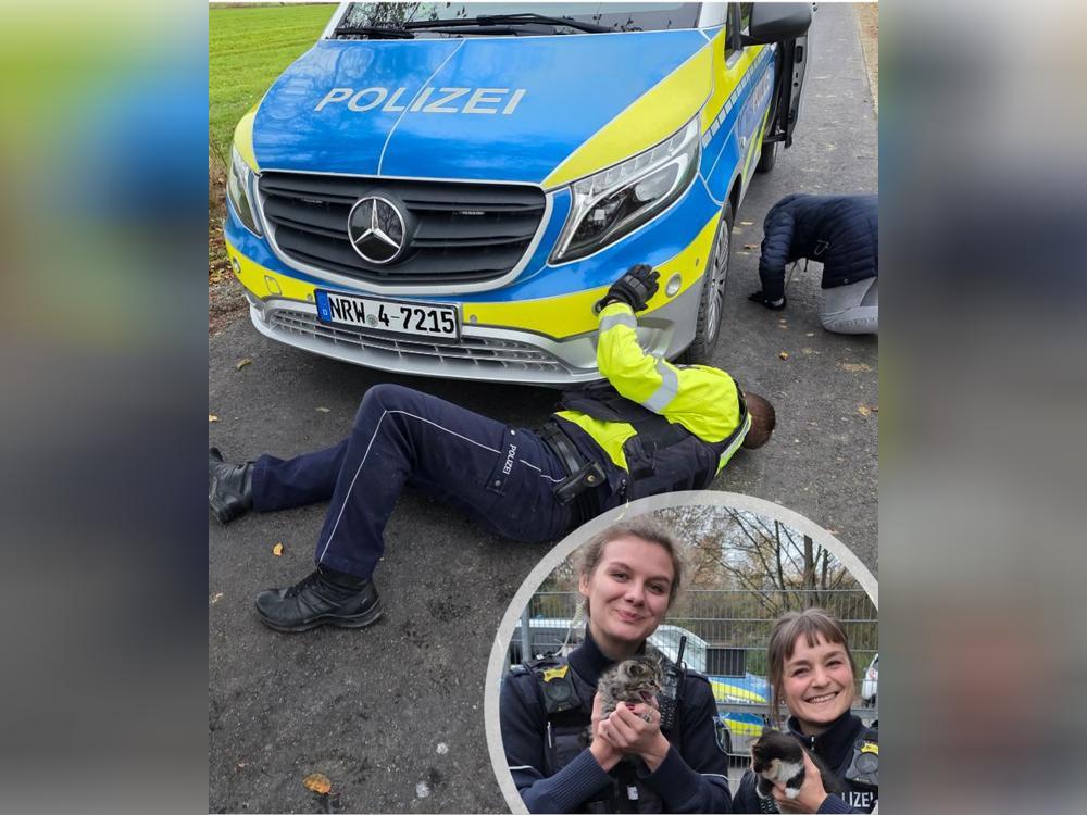 Stolze Retter nach tierischem Einsatz: Die Polizei sicherte bei einem kuriosen Einsatz sechs ausgesetzte Katzenbabys. Fotos: Polizei Kreis Soest