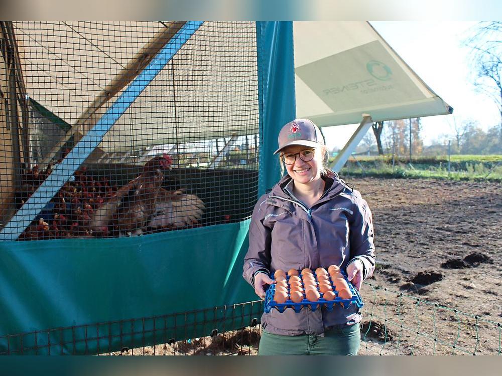 Die Hennen von Kirsten Gierse-Westermeier stehen unter Stallpflicht – dank Wintergarten bekommen sie trotzdem frische Luft.