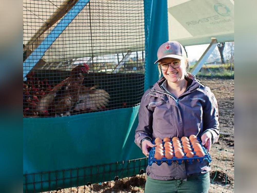 Die Hennen von Kirsten Gierse-Westermeier stehen unter Stallpflicht – dank Wintergarten bekommen sie trotzdem frische Luft.