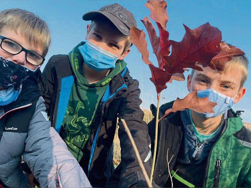 Vor fünf Jahren – mitten in der Coronazeit – fanden die Pflanztage der Privaten Sekundarschule Hugo Stern das erste Mal im Rüthener Wald statt. Mit dabei waren damals die Schüler (v.l.): Luan, Paul und Finn. Archivfoto: Christian Ziemke