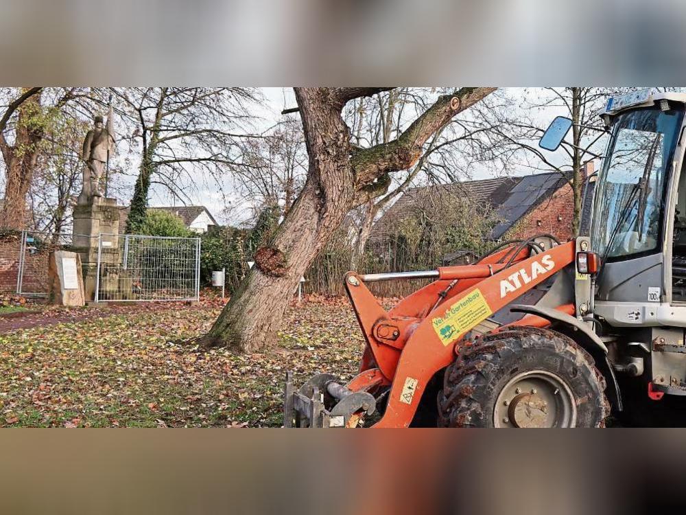 Der kleine Park am Königshof bekommt ein neues Gesicht. Foto: Ulrike Dietz