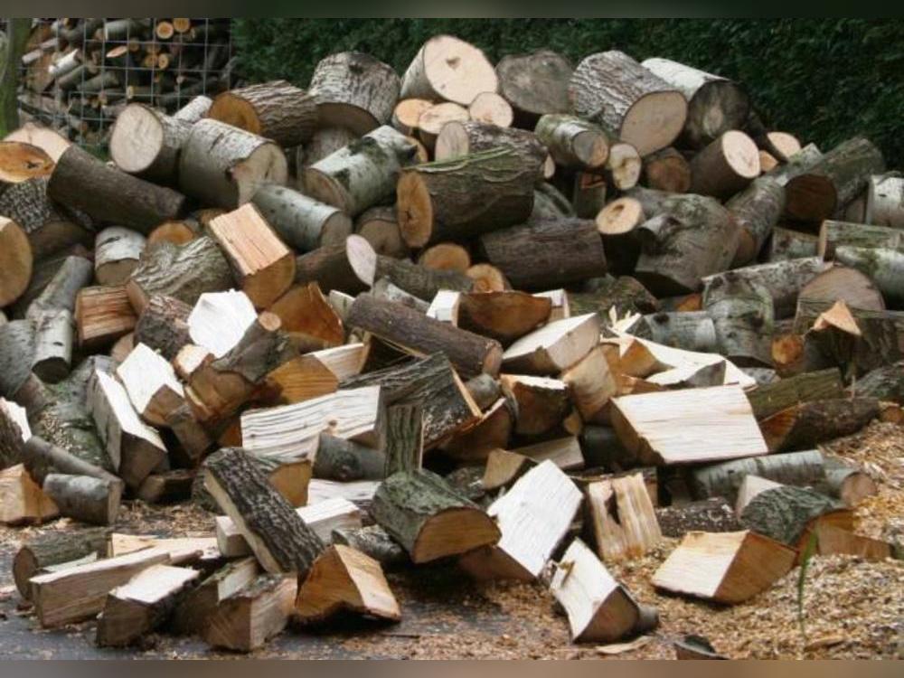 Das Brennholz für 2026 steht zum Verkauf. Foto: Archivbild