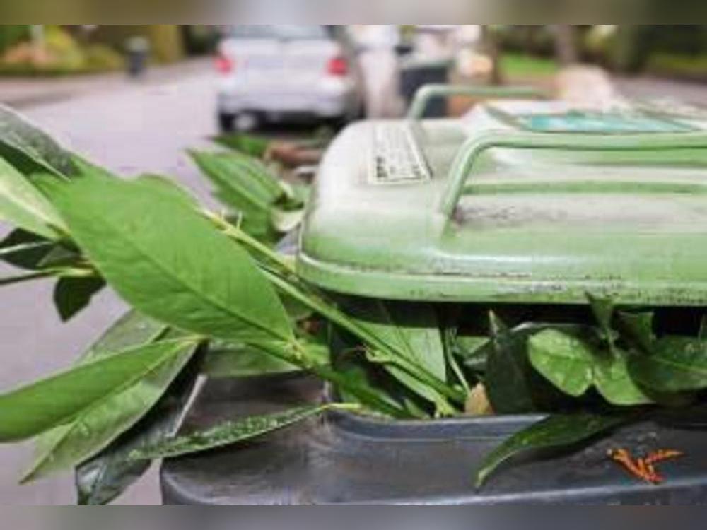 Wegen der Feiertage wird der Biomüll anders geleert.