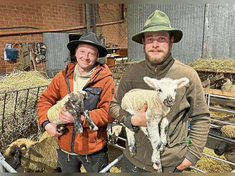 Wohlbehalten zurück in Mettinghausen: Tobias Kemper (l.) hat sich mit der Wanderschäferei einen Kindheitstraum erfüllt. Mitarbeiter Christian Endres war mit vor der Partie. Jetzt sind die beiden Schäfer rund um die Uhr als Geburtshelfer im Einsatz. Foto: Carolin Cegelski