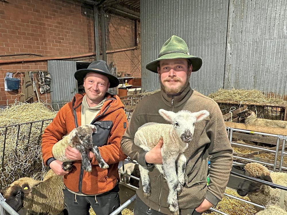 Wohlbehalten zurück in Mettinghausen: Tobias Kemper (l.) hat sich mit der Wanderschäferei einen Kindheitstraum erfüllt. Mitarbeiter Christian Endres war mit vor der Partie. Jetzt sind die beiden Schäfer rund um die Uhr als Geburtshelfer im Einsatz. Foto: Carolin Cegelski