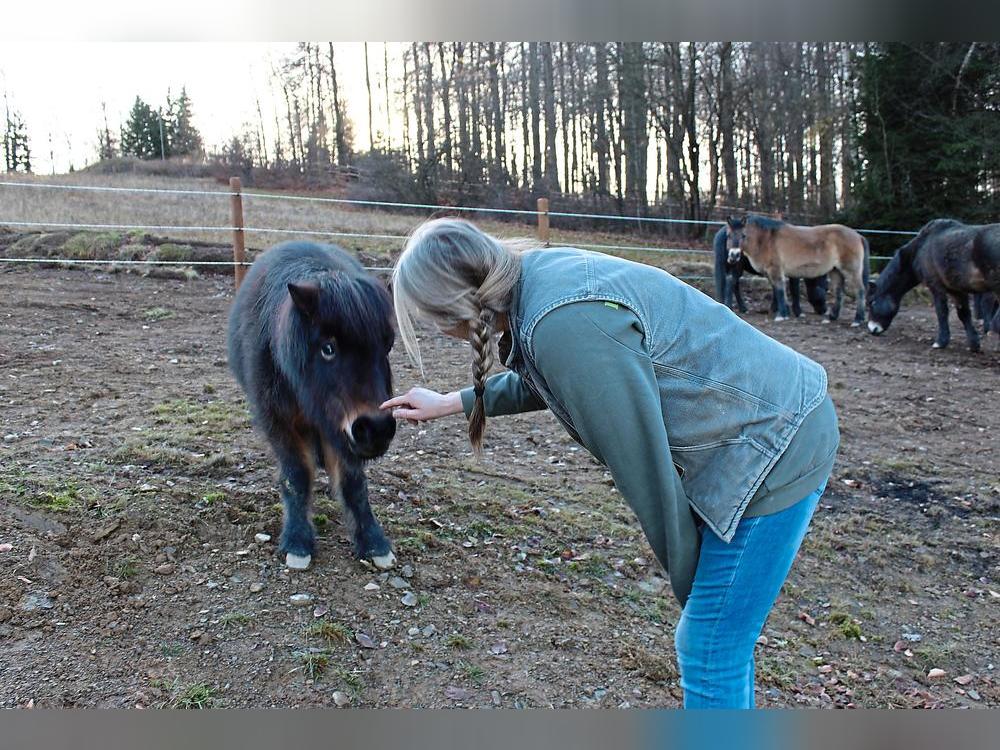 Zutraulich verhalten sich die Wildponys nur bei Barbara Kelly (Bild) und Christina Kuenen.