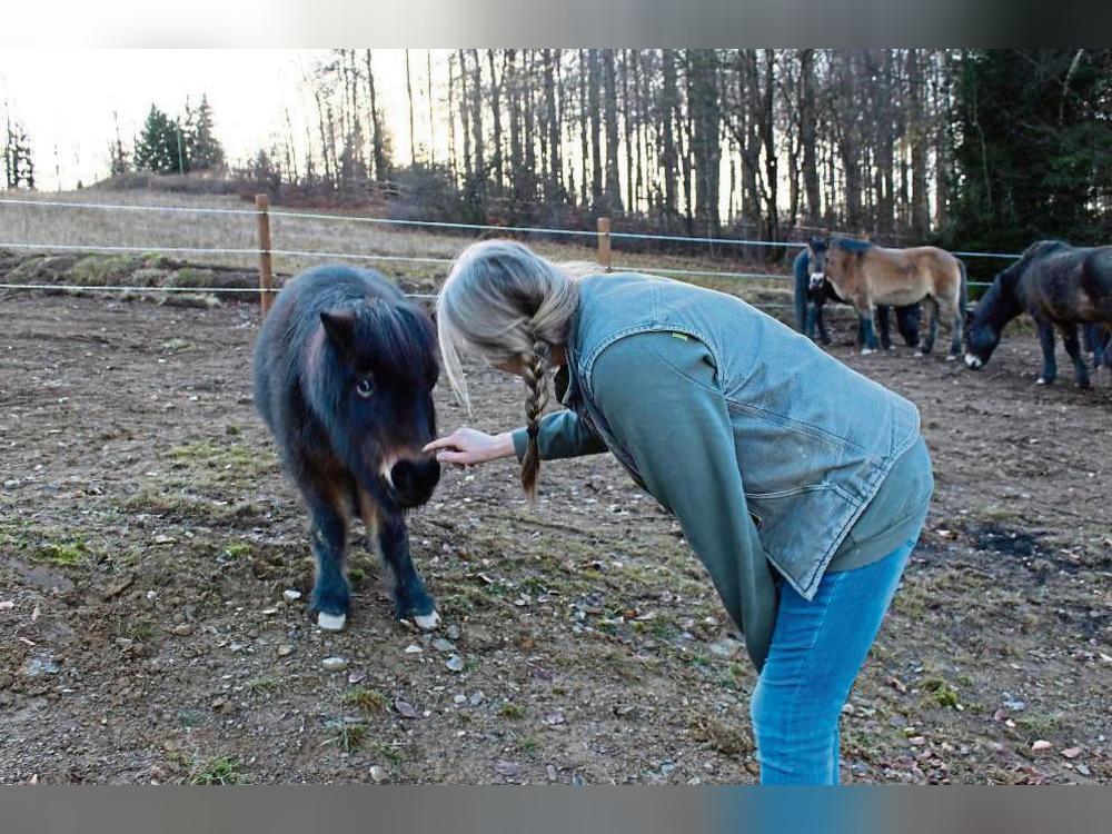 Zutraulich verhalten sich die Wildponys nur bei Barbara Kelly (Bild) und Christina Kuenen.