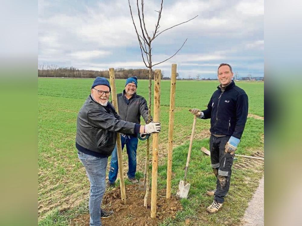 Mitglieder der CDU Geseke haben 28 Obstbäume in der heimischen Feldflur gepflanzt.