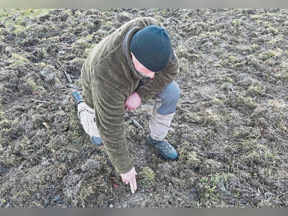 Inmitten des aufgewühlten Bodens erkennt Survival-Experte Jens Habich das Trittsiegel eines Wildschweins. Fotos: Anja Bsdurek