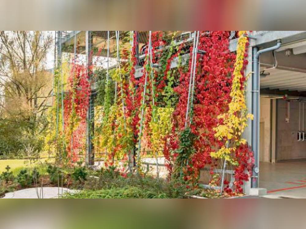 Grün statt Beton: Das Parkhaus im Quartier Südliche Altstadt bekommt eine Fassade nach diesem Vorbild. Das Parkhaus steht in Linz. Foto: Stadt Lippstadt