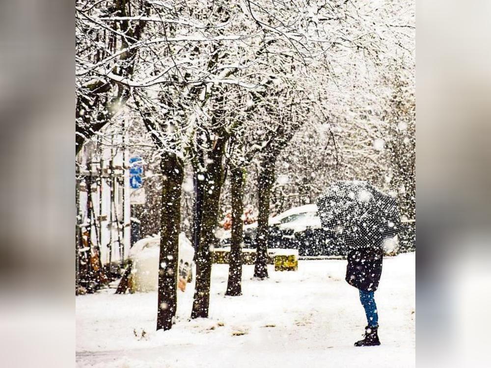Manche Straßen sind schon mit Bäumen gesegnet – so etwa auch In der Halle. Archivfoto: Daniel Kossack