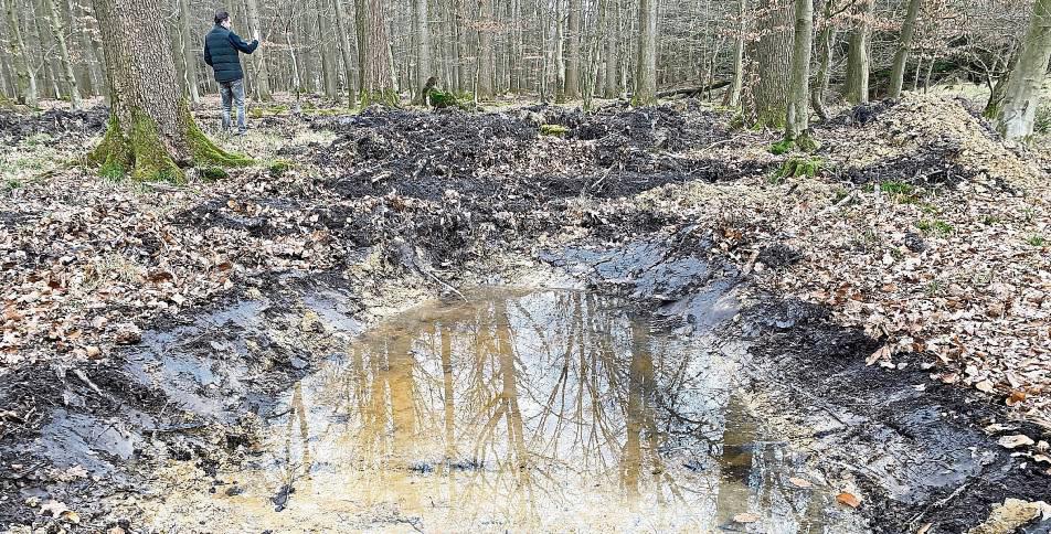 Im Wald werden auch kleine Erdmulden geschaffen, die zu neuen Biotopen werden – hier im Schwammwald-Projekt Möhnesee. Foto: Heier