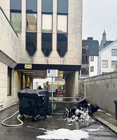 Auch an der Woldmei brannte eine Mülltonne. Foto: Polizei