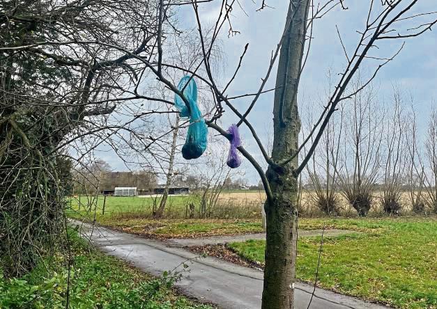 Ein Ärgernis, das in Mode kommt: Hundekotbeutel hängen in einem Baum. In Lippstadt sind derzeit 4146 Hunde registriert (250 mehr als vor Corona).