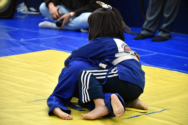 Judo in Aktion. Foto: Pixabay