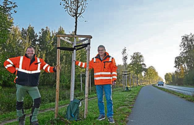 Freuen sich über die 200 jungen Winterlinden, die an der K 42 mithilfe von Fördergeldern des Landes gepflanzt worden sind: Baumkontrolleur Holger Meermann (l.) und Baubetriebshof-Leiter Bernd Dohle. Foto: Susanne Schulte-Nölle/ Kreis Soest