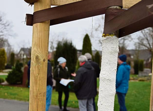Weiße Bäume? Der Anstrich soll die Neuanpflanzungen vor der Sonne schützen. Foto: Kossack