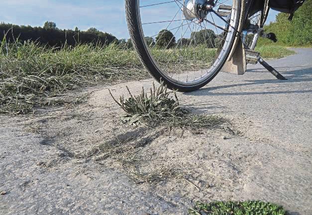 Wie sieht die Situation für Radler aus? Dieser Frage geht der Radklima-Test auf den Grund. Foto: Hammeke/Kreis Soest