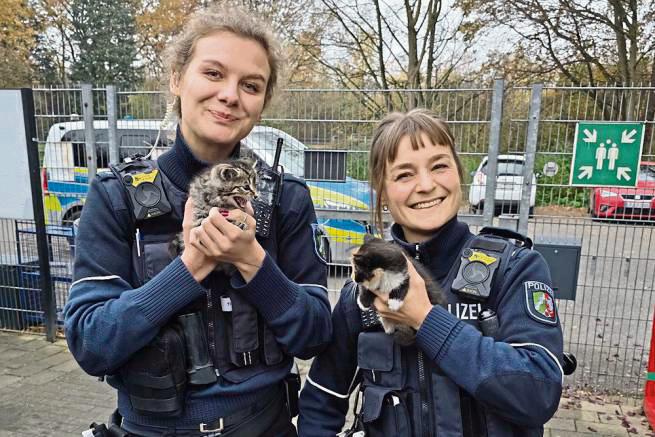 Freund und Helfer, das ist die Polizei auch für Vierbeiner: Nach anfänglichen Fluchtversuchen scheinen sich die kleinen Räuber in den Armen der Polizistinnen und Polizisten wohlzufühlen.