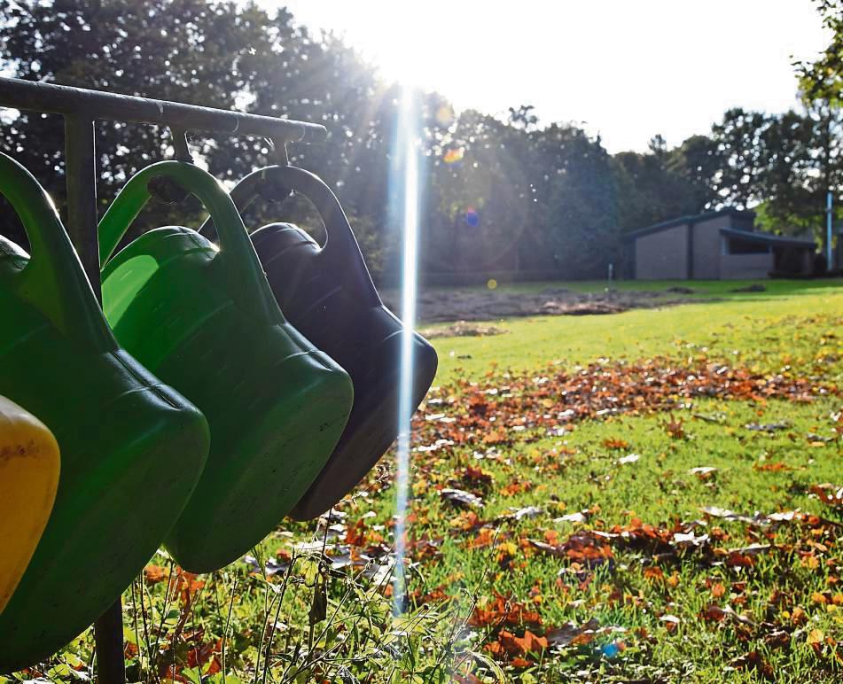Eine neue Kita soll am Friedhof in Störmede entstehen. Aktuell ist die Wiese als Blühstreifen ausgewiesen. Foto: Kossack