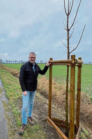 Insgesamt acht Bäume sind bei der letzten Aktion eingepflanzt worden.