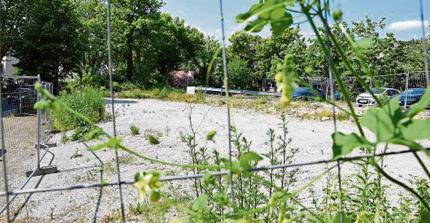 Im Dornröschen-Schlaf liegt gerade die Fläche, auf dem das neue Verwaltungsgebäude entstehen soll. Foto: Kossack