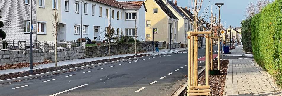 Insgesamt 58 neue Bäume wurden an der Westernkötter Straße bereits gepflanzt.