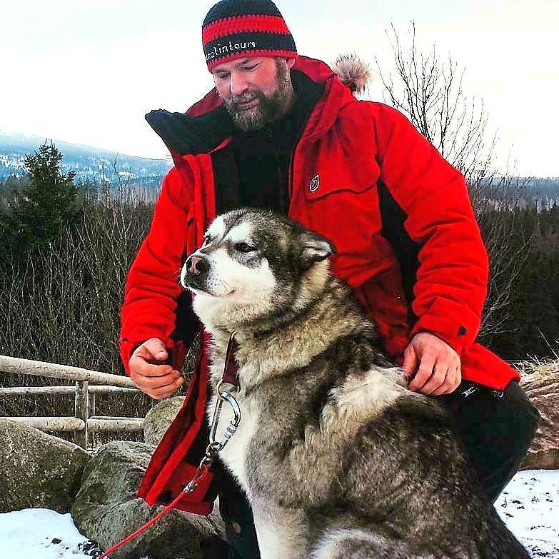 Jens Habich besitzt aktuell 5 Schlittenhunde. 