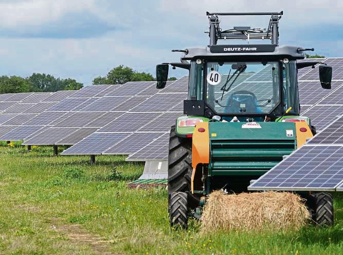 Die beantragte Agri-PV-Anlage bei Hoinkhausen könnte nun doch gebaut werden. Foto: dpa