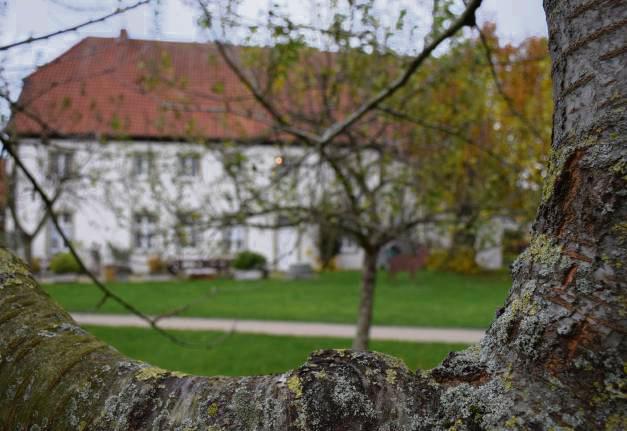Obstbäume soll die Verwaltung nicht mehr pflanzen – zumindest steht es so im CDU-Antrag. Foto: Kossack