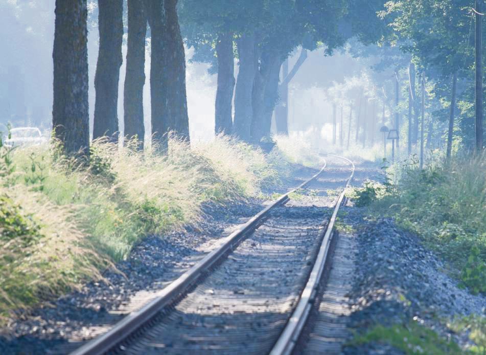 Für die schweren Güterzüge kein Hindernis, doch zeugt das Unkraut im Gleisbett von einer niedrigen Nutzungsfrequenz der zehn Kilometer langen Stichstrecke Belecke-Rüthen. Kommt mit dem jüngsten Sägewerk-Aus auch das Ende dieser 127 Jahre alten Bahnstrecke? Foto: Eickhoff