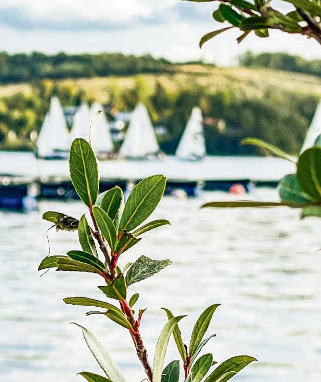 Auch am Möhnesee setzt man im Rahmen der Regionale 2025 auf ein Plus an Lebensqualität. Foto: Winkelmann