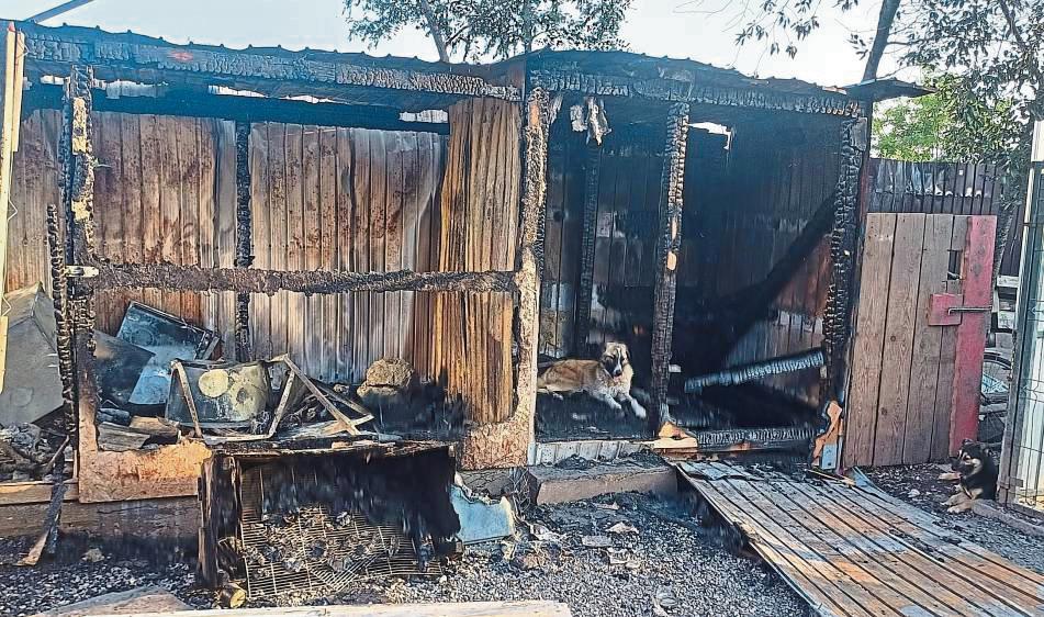 Der Schuppen des Tierschutzvereins Amaru in Rumänien ist komplett ausgebrannt. Tiere wurden glücklicherweise nicht verletzt, aber das dringend benötigte Werkzeug ist zerstört.