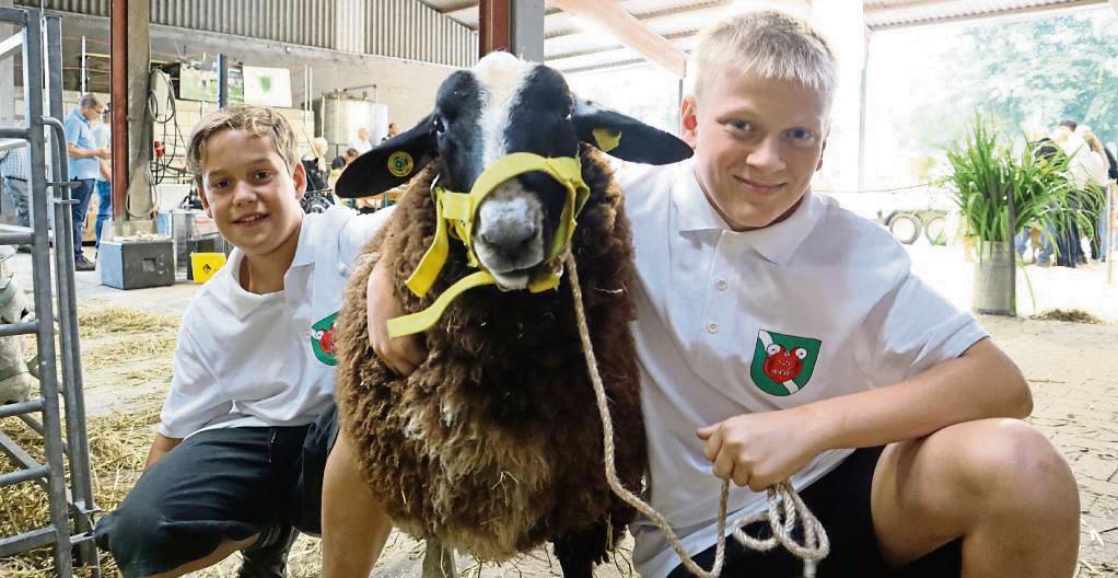 Für Leon Schäfer und seinen Bruder Joshua Stawicki heißt es Abschied nehmen von Maximus: Das Ostfriesische Milchschaf, eine bedrohte Tierart, wird wenig später versteigert. Der Verkauf ist nötig, damit die wenigen Exemplare sich inzuchtfrei vermehren können. Fotos: Bunte