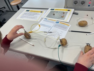 Getestet wurde, wie eine Kartoffelbatterie funktioniert. Foto: Grundschule St. Marien Geseke