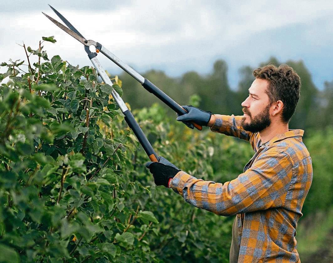 Der Garten ist ein Luxus unserer Tage. Er fordert das, was am kostbarsten geworden ist: Zeit, Raum und Zuwendung. Wer ihn nicht mehr selber pflegen kann, sollte bei der Wahl der Gartenhilfe Vorsicht walten lassen. Das Symbolfoto hat nichts mit dem beschriebenen Fall zu tun.